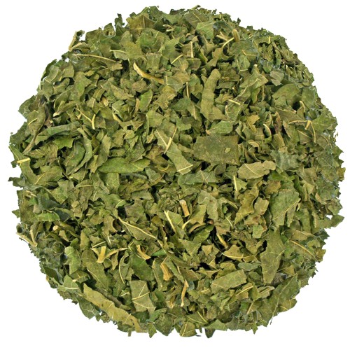 Liść morwy białej